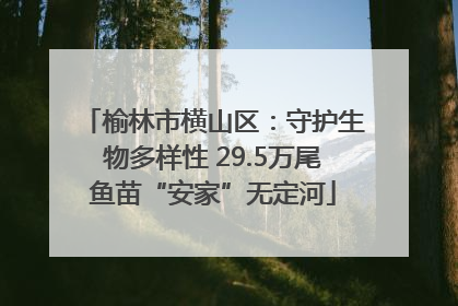 榆林市横山区：守护生物多样性 29.5万尾鱼苗“安家”无定河
