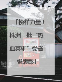 榜样力量！株洲一批“热血英雄”受省级表彰
