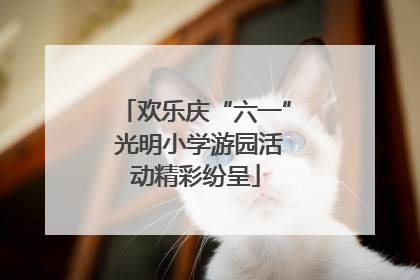 欢乐庆“六一” 光明小学游园活动精彩纷呈