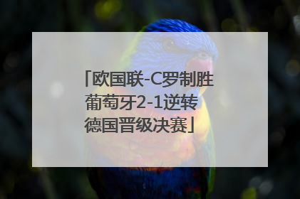欧国联-C罗制胜 葡萄牙2-1逆转德国晋级决赛