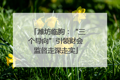 潍坊临朐：“三个导向”引领财会监督走深走实