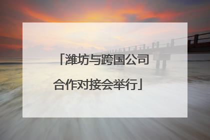 潍坊与跨国公司合作对接会举行