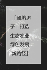 潍坊坊子：打造生态农业绿色发展新路径