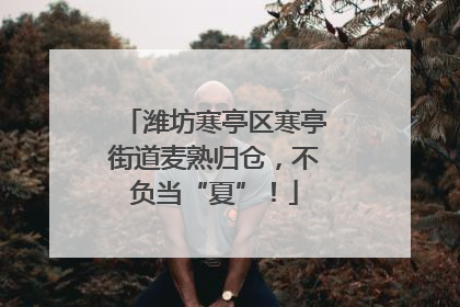 潍坊寒亭区寒亭街道麦熟归仓，不负当“夏”！
