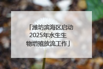 潍坊滨海区启动2025年水生生物增殖放流工作