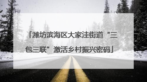 潍坊滨海区大家洼街道“三包三联”激活乡村振兴密码