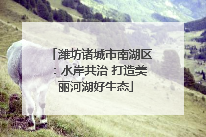 潍坊诸城市南湖区：水岸共治 打造美丽河湖好生态