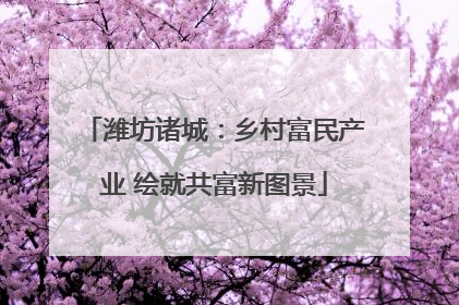 潍坊诸城：乡村富民产业 绘就共富新图景