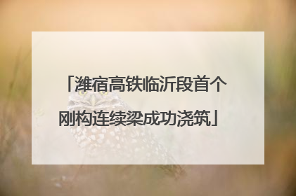 潍宿高铁临沂段首个刚构连续梁成功浇筑