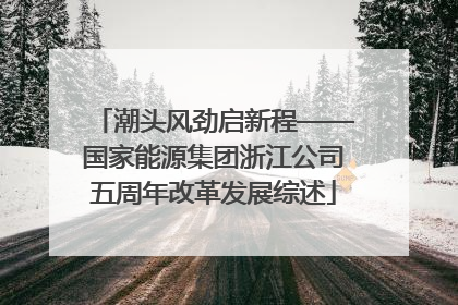 潮头风劲启新程——国家能源集团浙江公司五周年改革发展综述