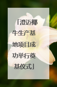 澄迈椰牛生产基地项目成功举行奠基仪式