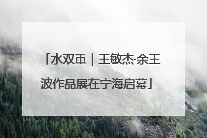 水双重｜王敏杰·余王波作品展在宁海启幕