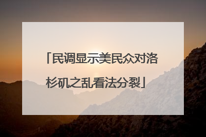 民调显示美民众对洛杉矶之乱看法分裂
