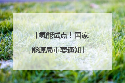 氢能试点！国家能源局重要通知