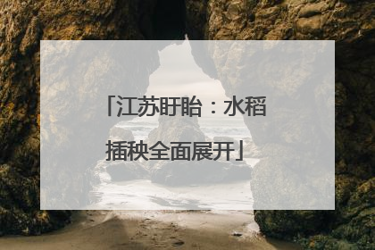 江苏盱眙：水稻插秧全面展开