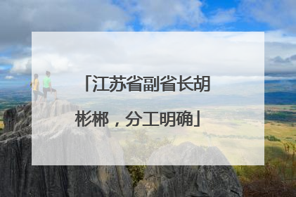 江苏省副省长胡彬郴，分工明确