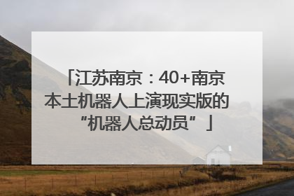 江苏南京：40+南京本土机器人上演现实版的“机器人总动员”