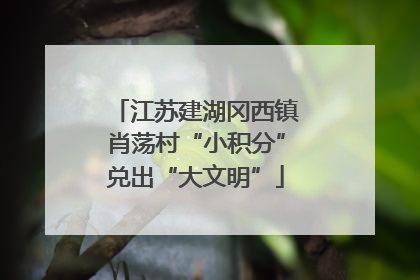 江苏建湖冈西镇肖荡村“小积分”兑出“大文明”