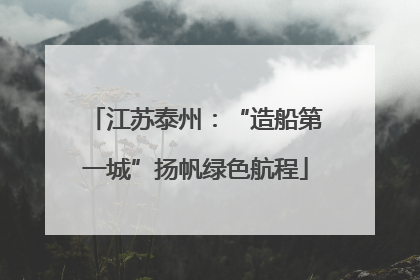 江苏泰州：“造船第一城”扬帆绿色航程