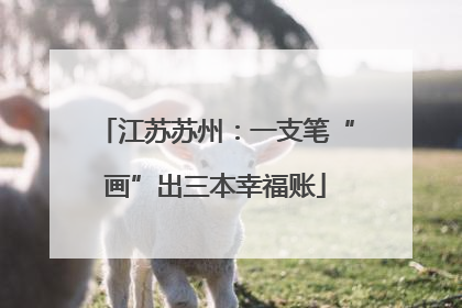 江苏苏州：一支笔“画”出三本幸福账