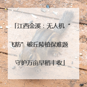 江西金溪：无人机“飞防”破丘陵植保难题 守护万亩早稻丰收