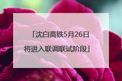 沈白高铁5月26日将进入联调联试阶段