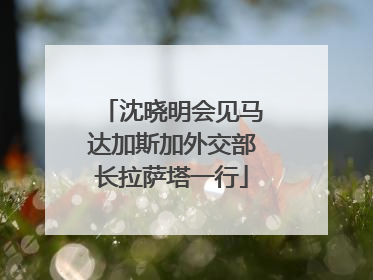 沈晓明会见马达加斯加外交部长拉萨塔一行