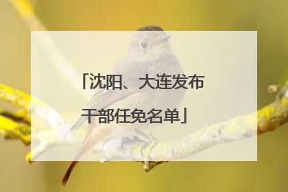 沈阳、大连发布干部任免名单