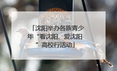 沈阳举办各族青少年“看沈阳、爱沈阳”高校行活动