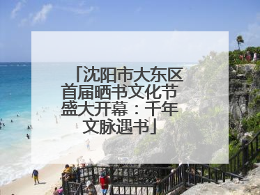 沈阳市大东区首届晒书文化节盛大开幕：千年文脉遇书