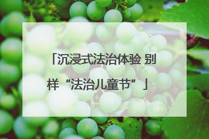 沉浸式法治体验 别样“法治儿童节”