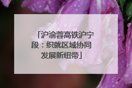 沪渝蓉高铁沪宁段：织就区域协同发展新纽带