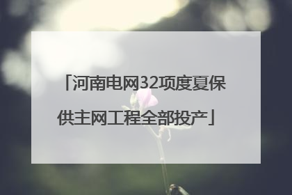 河南电网32项度夏保供主网工程全部投产