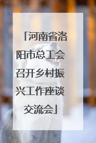 河南省洛阳市总工会召开乡村振兴工作座谈交流会