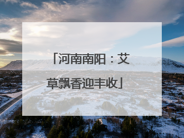 河南南阳：艾草飘香迎丰收
