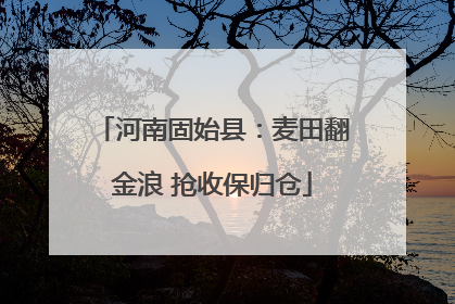 河南固始县：麦田翻金浪 抢收保归仓