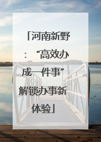 河南新野：“高效办成一件事”解锁办事新体验