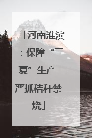 河南淮滨：保障“三夏”生产 严抓秸秆禁烧