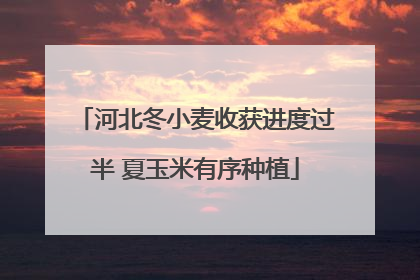 河北冬小麦收获进度过半 夏玉米有序种植