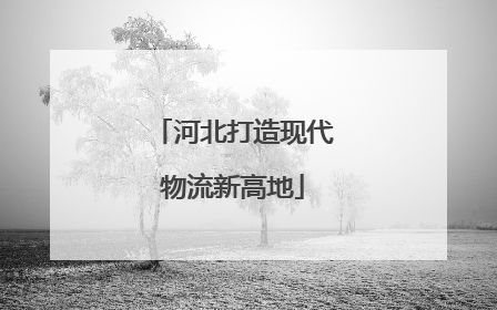 河北打造现代物流新高地
