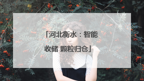 河北衡水：智能收储 颗粒归仓