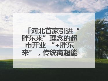 河北首家引进“胖东来”理念的超市开业 “+胖东来”，传统商超能否成功突围？