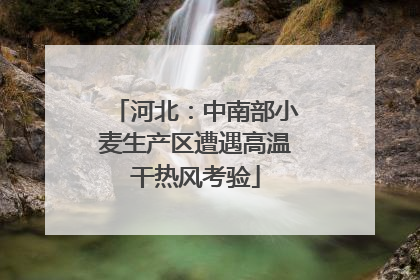 河北：中南部小麦生产区遭遇高温干热风考验