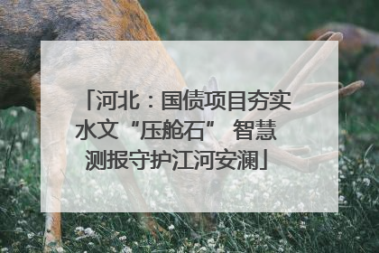 河北：国债项目夯实水文“压舱石” 智慧测报守护江河安澜