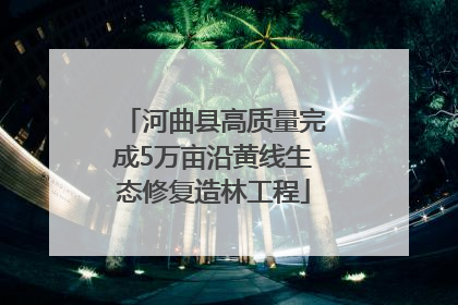 河曲县高质量完成5万亩沿黄线生态修复造林工程