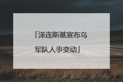 泽连斯基宣布乌军队人事变动