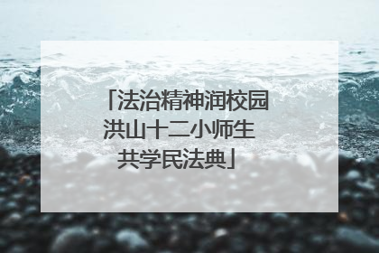 法治精神润校园 洪山十二小师生共学民法典