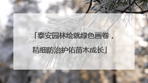 泰安园林绘就绿色画卷，精细防治护佑苗木成长