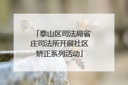 泰山区司法局省庄司法所开展社区矫正系列活动