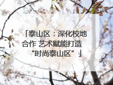 泰山区：深化校地合作 艺术赋能打造“时尚泰山区”